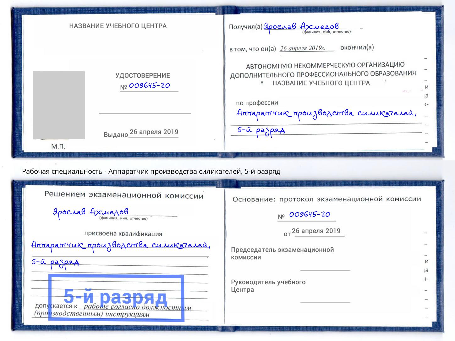 корочка 5-й разряд Аппаратчик производства силикагелей Димитровград