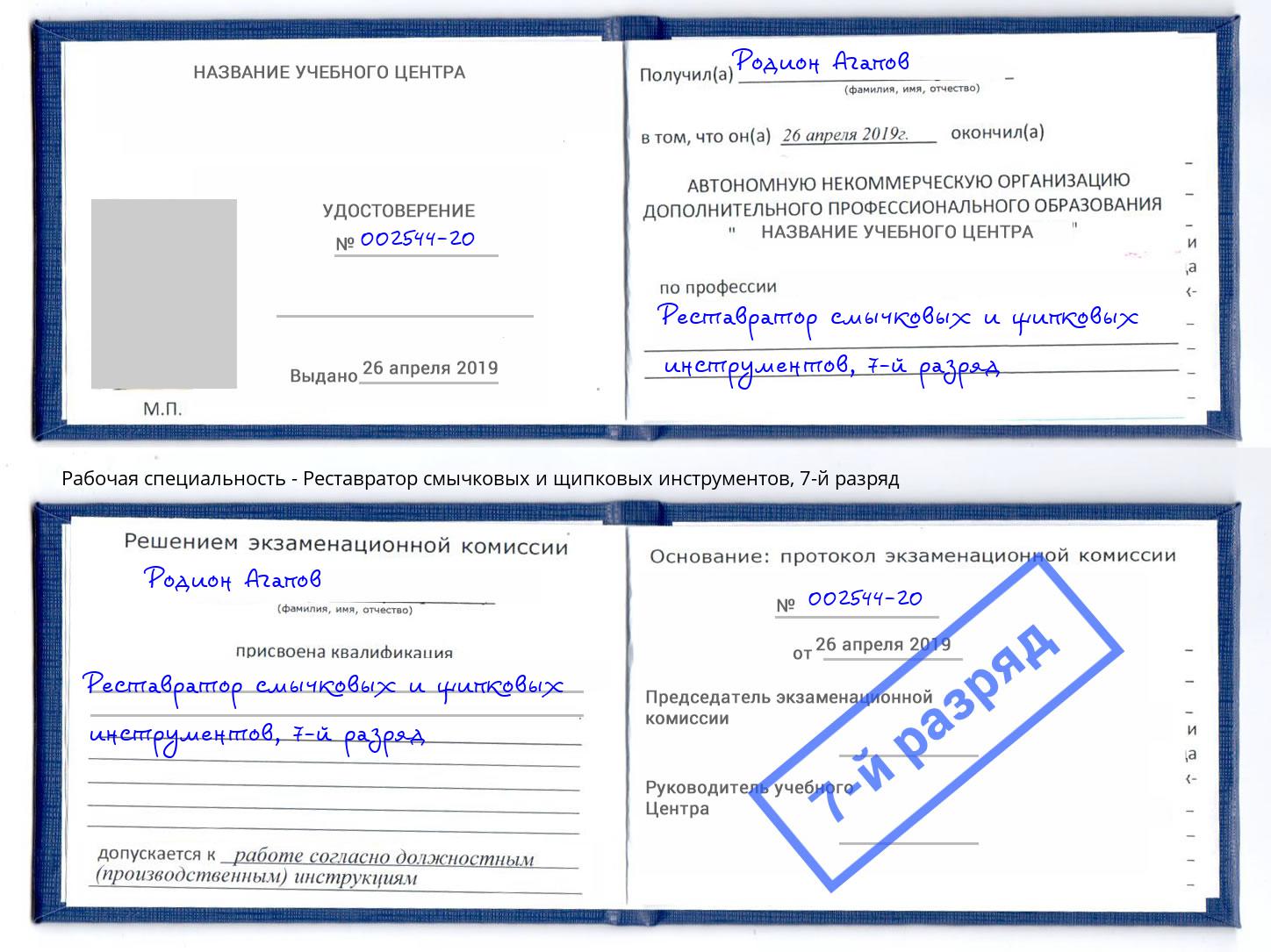 корочка 7-й разряд Реставратор смычковых и щипковых инструментов Димитровград