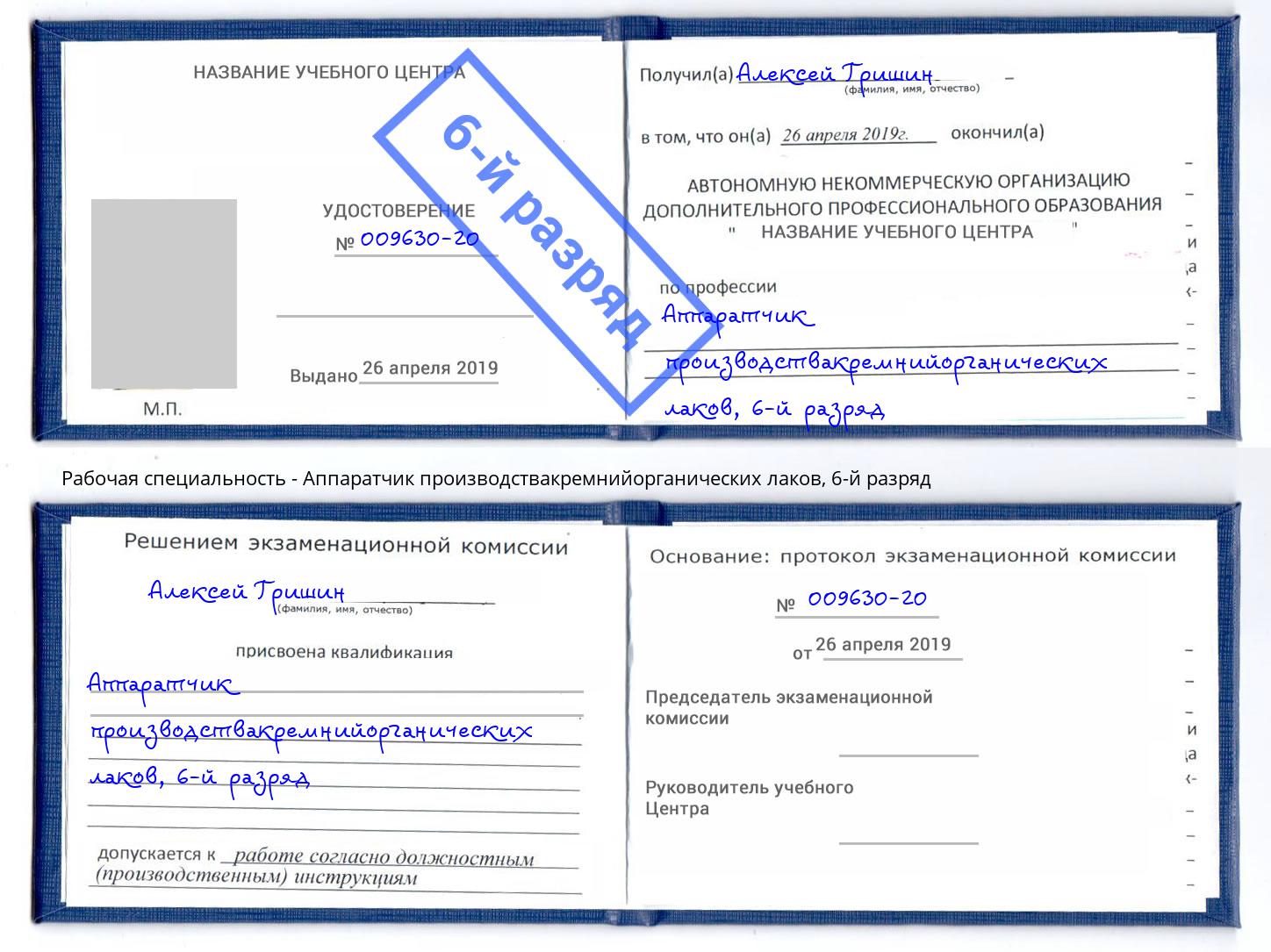 корочка 6-й разряд Аппаратчик производствакремнийорганических лаков Димитровград