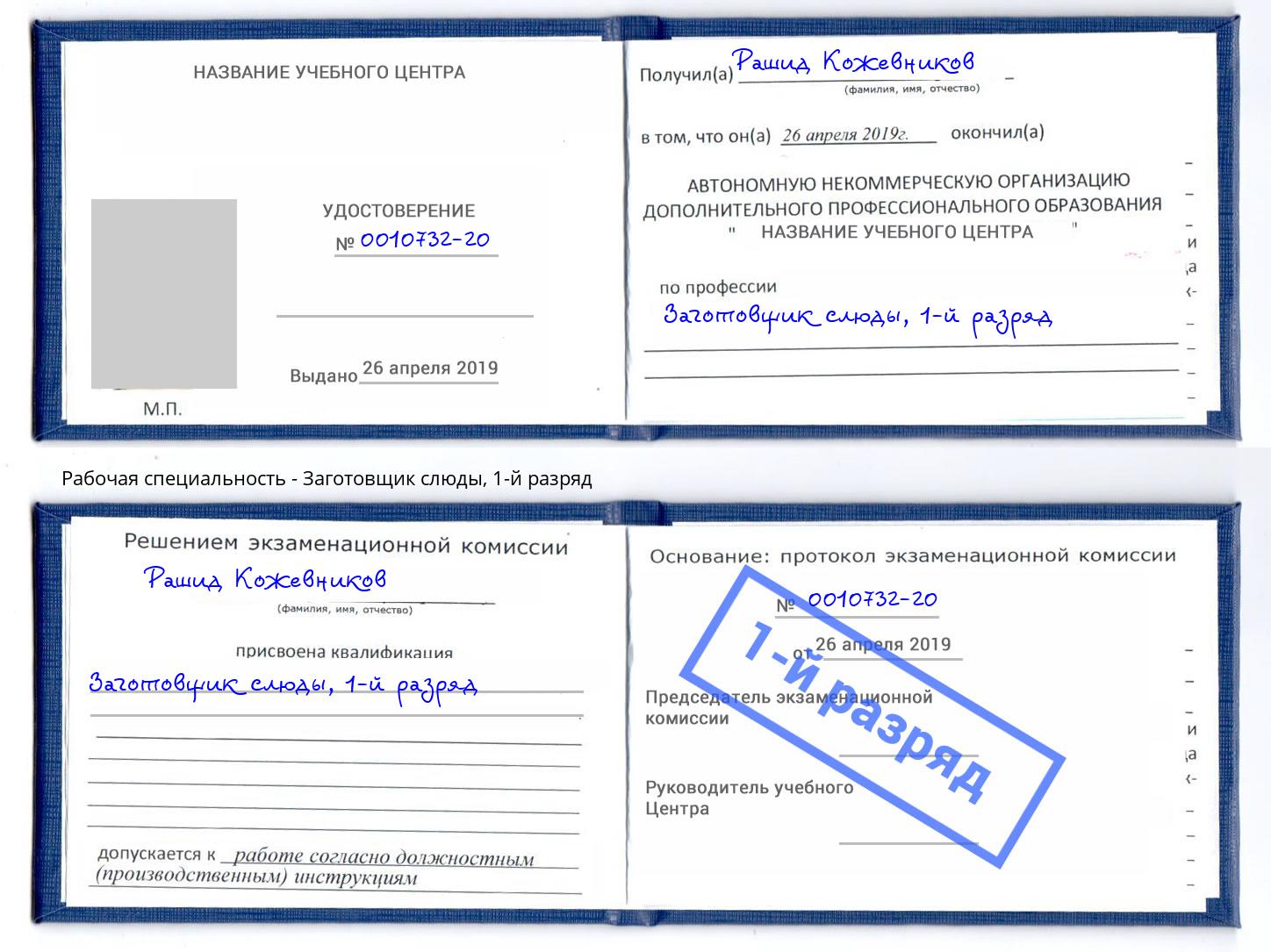 корочка 1-й разряд Заготовщик слюды Димитровград